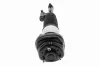 Luftfederbein hinten links VEMO V20-50-0042 Bild Luftfederbein hinten links VEMO V20-50-0042