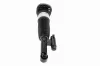 Luftfederbein hinten links VEMO V20-50-0042 Bild Luftfederbein hinten links VEMO V20-50-0042