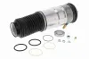 Luftfederbein hinten links VEMO V20-50-0044