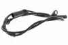 Sensor, Raddrehzahl Hinterachse VEMO V20-72-5196