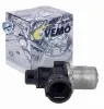 Kühlmittelregelventil VEMO V20-77-0070 Bild Kühlmittelregelventil VEMO V20-77-0070