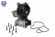 Wasserpumpe, Motorkühlung VEMO V20-99-0007