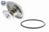 Thermostat, K&uuml;hlmittel VEMO V20-99-0159