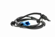 Sensor, Raddrehzahl Vorderachse links Vorderachse rechts VEMO V22-72-0059