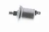 Sensor, Öldruck VEMO V24-72-0042 Bild Sensor, Öldruck VEMO V24-72-0042