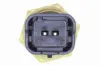 Sensor, Kühlmitteltemperatur VEMO V24-72-0056 Bild Sensor, Kühlmitteltemperatur VEMO V24-72-0056