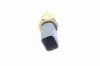 Sensor, Kühlmitteltemperatur VEMO V24-72-0058 Bild Sensor, Kühlmitteltemperatur VEMO V24-72-0058
