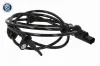 Sensor, Raddrehzahl Hinterachse rechts VEMO V24-72-0151
