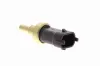 Sensor, Kühlmitteltemperatur VEMO V24-72-0246 Bild Sensor, Kühlmitteltemperatur VEMO V24-72-0246