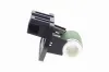 Regler, Innenraumgebläse 12 V VEMO V24-79-0024 Bild Regler, Innenraumgebläse 12 V VEMO V24-79-0024