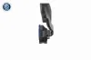 Fahrpedal VEMO V24-82-0004 Bild Fahrpedal VEMO V24-82-0004