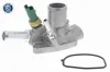Thermostatgehäuse VEMO V24-99-0033 Bild Thermostatgehäuse VEMO V24-99-0033