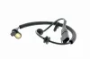 Sensor, Raddrehzahl Hinterachse links VEMO V25-72-0020 Bild Sensor, Raddrehzahl Hinterachse links VEMO V25-72-0020
