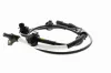 Sensor, Raddrehzahl Vorderachse VEMO V25-72-1142 Bild Sensor, Raddrehzahl Vorderachse VEMO V25-72-1142