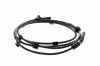 Sensor, Raddrehzahl Hinterachse rechts VEMO V25-72-1249 Bild Sensor, Raddrehzahl Hinterachse rechts VEMO V25-72-1249
