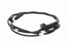 Sensor, Raddrehzahl Hinterachse rechts VEMO V25-72-1289 Bild Sensor, Raddrehzahl Hinterachse rechts VEMO V25-72-1289