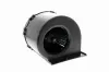 Innenraumgebläse VEMO V30-03-1258 Bild Innenraumgebläse VEMO V30-03-1258