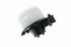 Elektromotor, Innenraumgebläse 12 V VEMO V30-03-1777 Bild Elektromotor, Innenraumgebläse 12 V VEMO V30-03-1777