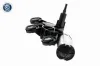 Wischermotor 12 V hinten VEMO V30-07-0028 Bild Wischermotor 12 V hinten VEMO V30-07-0028