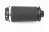 Luftfederbein Hinterachse beidseitig VEMO V30-50-0008-1 Bild Luftfederbein Hinterachse beidseitig VEMO V30-50-0008-1