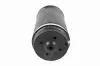 Luftfederbein Hinterachse beidseitig VEMO V30-50-0008-1 Bild Luftfederbein Hinterachse beidseitig VEMO V30-50-0008-1