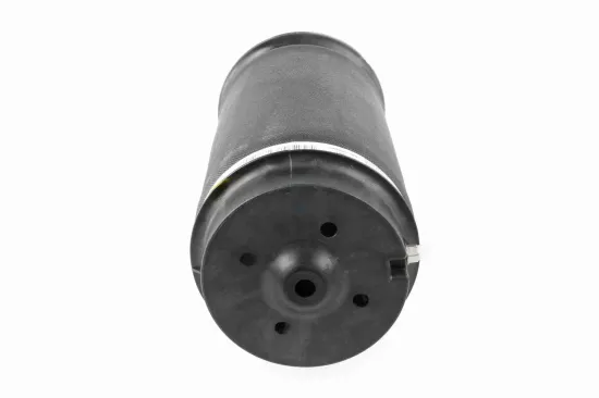 Luftfederbein Hinterachse beidseitig VEMO V30-50-0008-1 Bild Luftfederbein Hinterachse beidseitig VEMO V30-50-0008-1