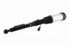 Luftfederbein Hinterachse beidseitig VEMO V30-50-0019