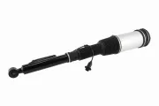 Luftfederbein Hinterachse beidseitig VEMO V30-50-0019