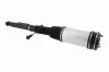 Luftfederbein Hinterachse beidseitig VEMO V30-50-0019 Bild Luftfederbein Hinterachse beidseitig VEMO V30-50-0019