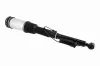 Luftfederbein Hinterachse beidseitig VEMO V30-50-0019 Bild Luftfederbein Hinterachse beidseitig VEMO V30-50-0019