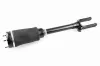 Luftfederbein beidseitig Vorderachse VEMO V30-50-0020-1 Bild Luftfederbein beidseitig Vorderachse VEMO V30-50-0020-1