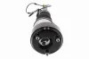 Luftfederbein Vorderachse beidseitig VEMO V30-50-0027 Bild Luftfederbein Vorderachse beidseitig VEMO V30-50-0027