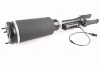 Luftfederbein Vorderachse VEMO V30-50-0038 Bild Luftfederbein Vorderachse VEMO V30-50-0038