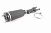 Luftfederbein Vorderachse VEMO V30-50-0038 Bild Luftfederbein Vorderachse VEMO V30-50-0038