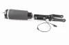 Luftfederbein Vorderachse VEMO V30-50-0038 Bild Luftfederbein Vorderachse VEMO V30-50-0038