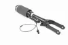 Luftfederbein Vorderachse VEMO V30-50-0038 Bild Luftfederbein Vorderachse VEMO V30-50-0038