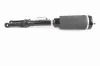 Luftfederbein Vorderachse VEMO V30-50-0038 Bild Luftfederbein Vorderachse VEMO V30-50-0038