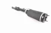 Luftfederbein Vorderachse VEMO V30-50-0038 Bild Luftfederbein Vorderachse VEMO V30-50-0038