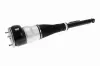 Luftfederbein Hinterachse links VEMO V30-50-0041 Bild Luftfederbein Hinterachse links VEMO V30-50-0041