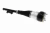 Luftfederbein Hinterachse links VEMO V30-50-0041 Bild Luftfederbein Hinterachse links VEMO V30-50-0041