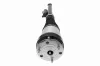 Luftfederbein Hinterachse links VEMO V30-50-0041 Bild Luftfederbein Hinterachse links VEMO V30-50-0041