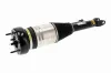 Luftfederbein Vorderachse links VEMO V30-50-0049 Bild Luftfederbein Vorderachse links VEMO V30-50-0049