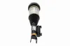 Luftfederbein Vorderachse links VEMO V30-50-0049 Bild Luftfederbein Vorderachse links VEMO V30-50-0049