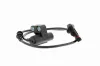 Sensor, Raddrehzahl Vorderachse links VEMO V30-72-0129 Bild Sensor, Raddrehzahl Vorderachse links VEMO V30-72-0129