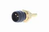 Sensor, Kühlmitteltemperatur VEMO V30-99-0079 Bild Sensor, Kühlmitteltemperatur VEMO V30-99-0079