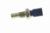 Sensor, Kühlmitteltemperatur VEMO V33-72-0002 Bild Sensor, Kühlmitteltemperatur VEMO V33-72-0002