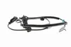 Sensor, Raddrehzahl Hinterachse rechts VEMO V33-72-0025 Bild Sensor, Raddrehzahl Hinterachse rechts VEMO V33-72-0025
