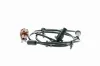 Sensor, Raddrehzahl Hinterachse links VEMO V38-72-0156 Bild Sensor, Raddrehzahl Hinterachse links VEMO V38-72-0156