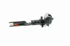 Sensor, Kühlmittelstand VEMO V40-72-0607 Bild Sensor, Kühlmittelstand VEMO V40-72-0607