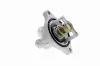 Thermostatgehäuse VEMO V40-99-1103 Bild Thermostatgehäuse VEMO V40-99-1103
